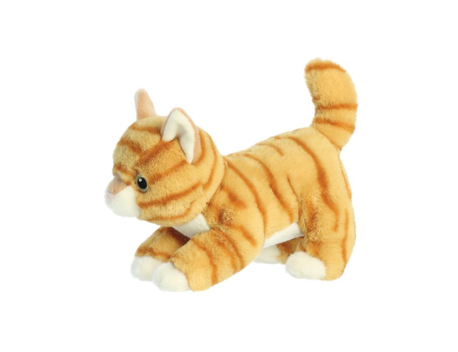 Pluchen Knuffel - Oranje Kat - 21 cm