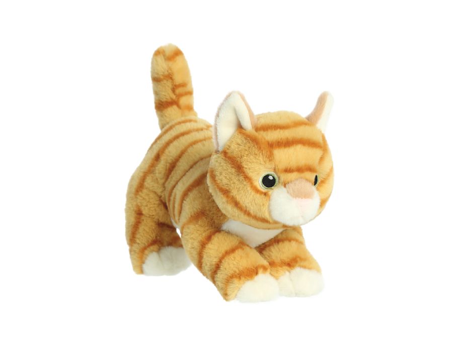 Pluchen Knuffel - Oranje Kat - 21 cm