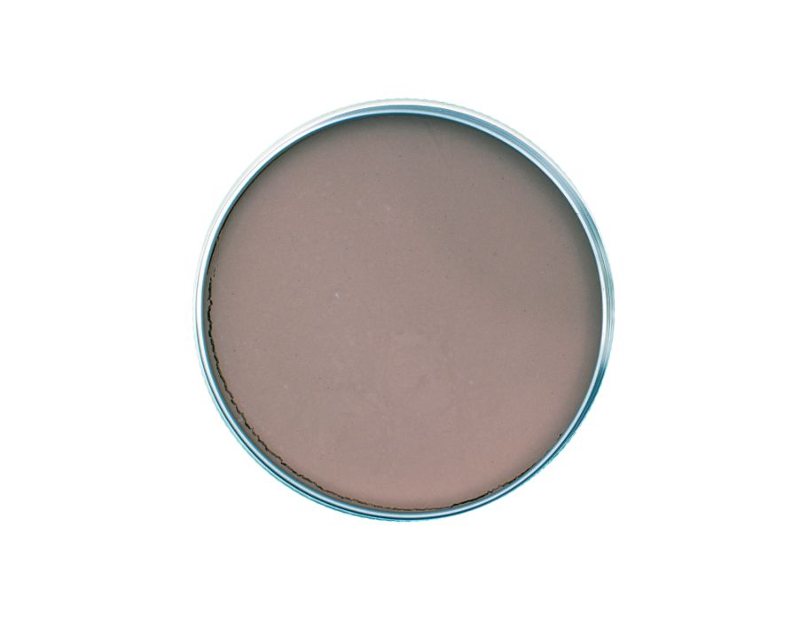 Natuurlijke zonnebrandcrème met zinkoxide SPF30 Bronze
