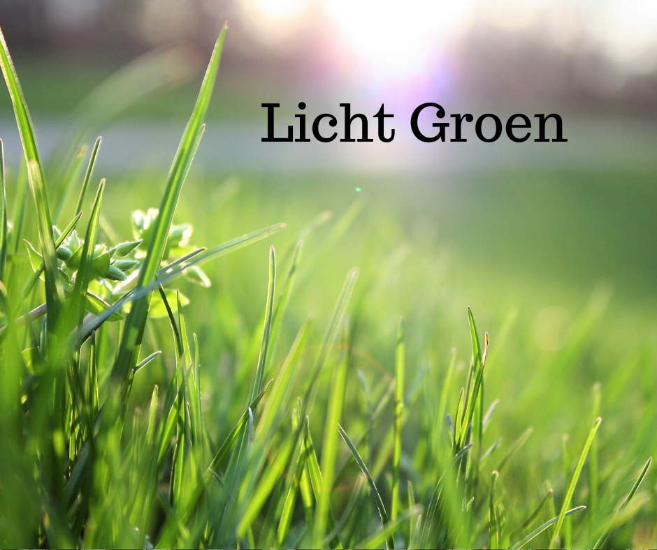 Licht Groen – Sustainable Beez