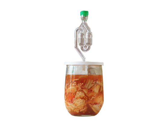 Fermentatie Set - Kimchi