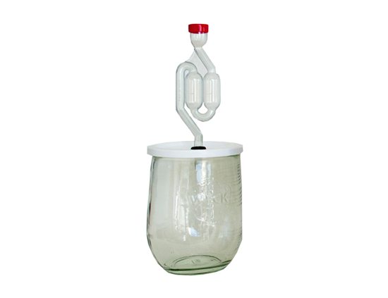 Fermentatie Set - Kimchi